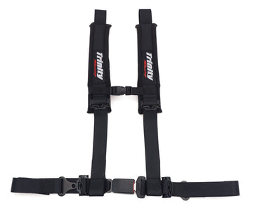 4-POINT 2-INCH AUTO LATCH HARNESS